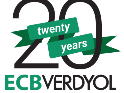 20 Years Logo